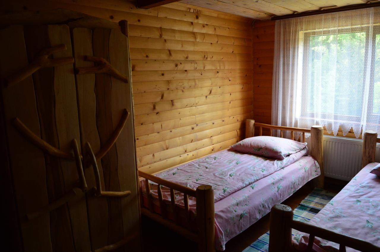 Villa Zatishok Bilya Richky à Pilipets Extérieur photo